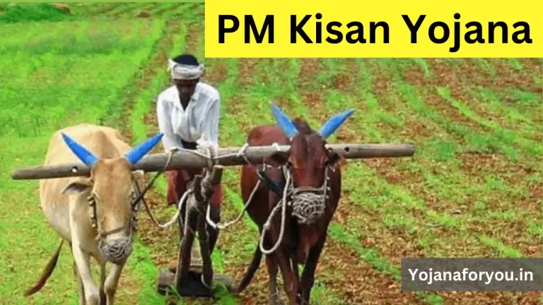 pm kisan yojana farmer harvesting crops